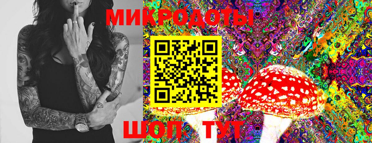 Псилоцибиновые грибы мицелий  Псилоцибиновые грибы мицелий  что такое наркотик  Вход с VPN  Котлас 